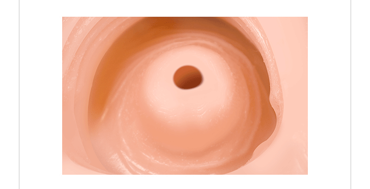 EXE Coron3 经典款慢玩名器倒模 - Jiumiluxe啾咪情趣