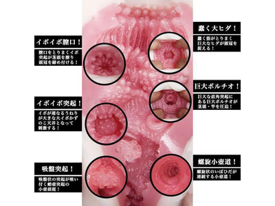 NPG 名器证明011 高桥圣子名器倒模 - Jiumiluxe啾咪情趣